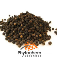 Free sample vietnam black pepper 95% piperine